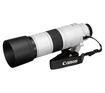 Canon RF 200-800mm f/6.3-9 IS USM Lens - Image 2