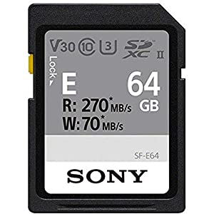 Sony SF-E 64GB Memory Card (Plastic box)