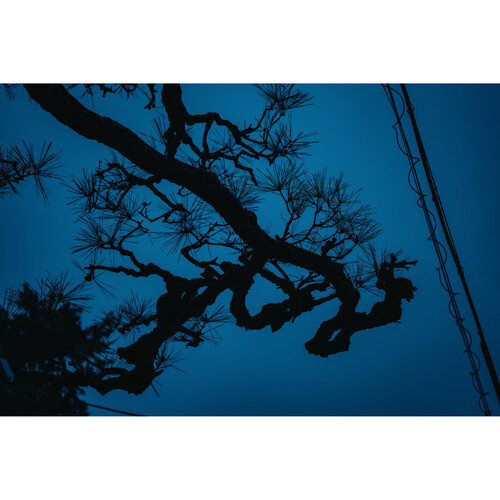 Sigma 17-40mm f/1.8 DC Art Lens FUJIFILM X - Image 11