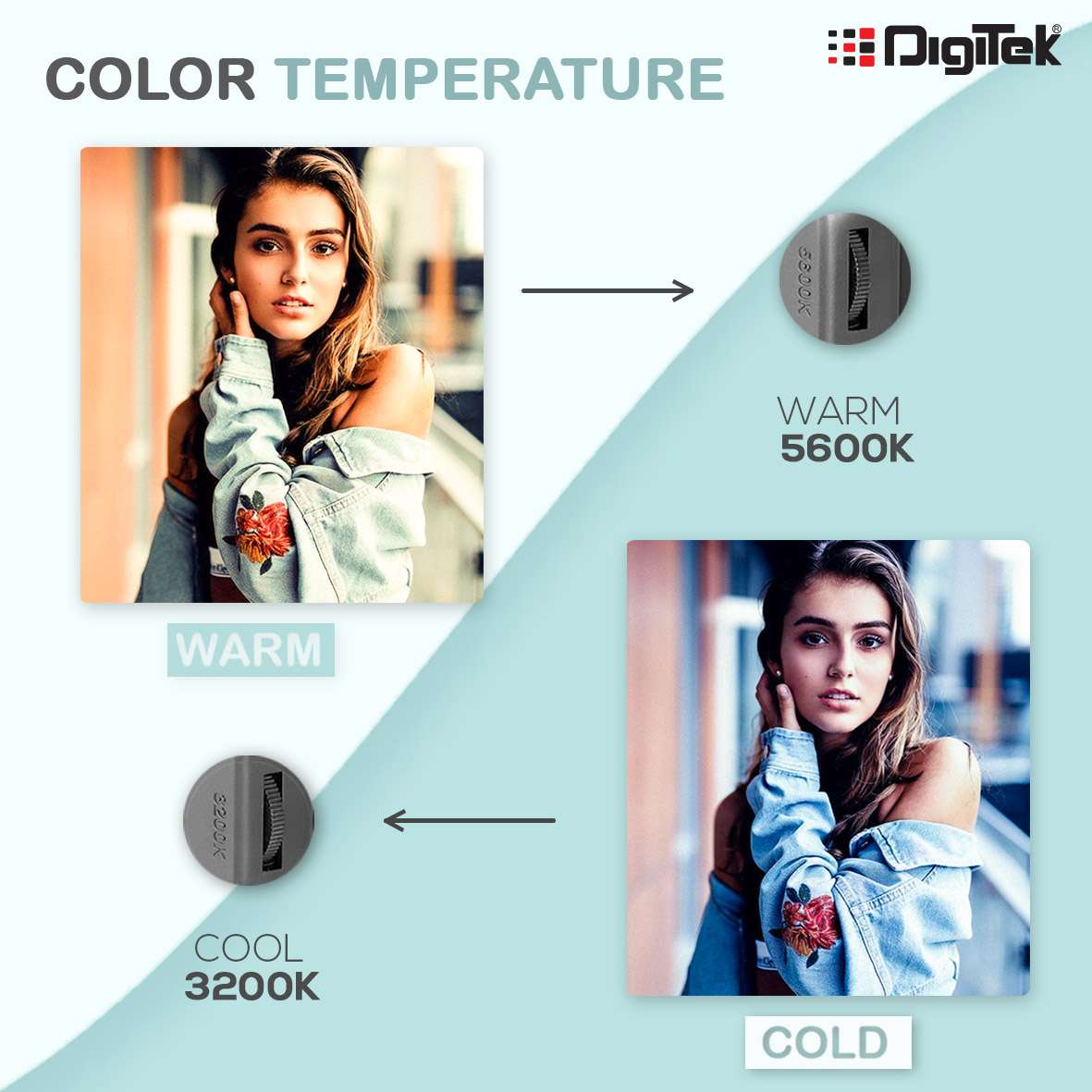 Digitek LED Professional Video Light(LED D520B Combo) - Image 2