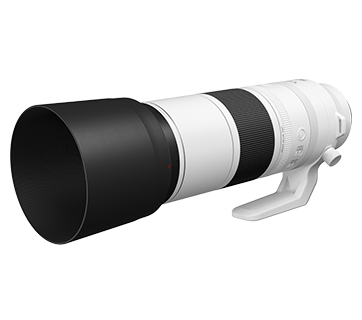 Canon RF 200-800mm f/6.3-9 IS USM Lens - Image 3