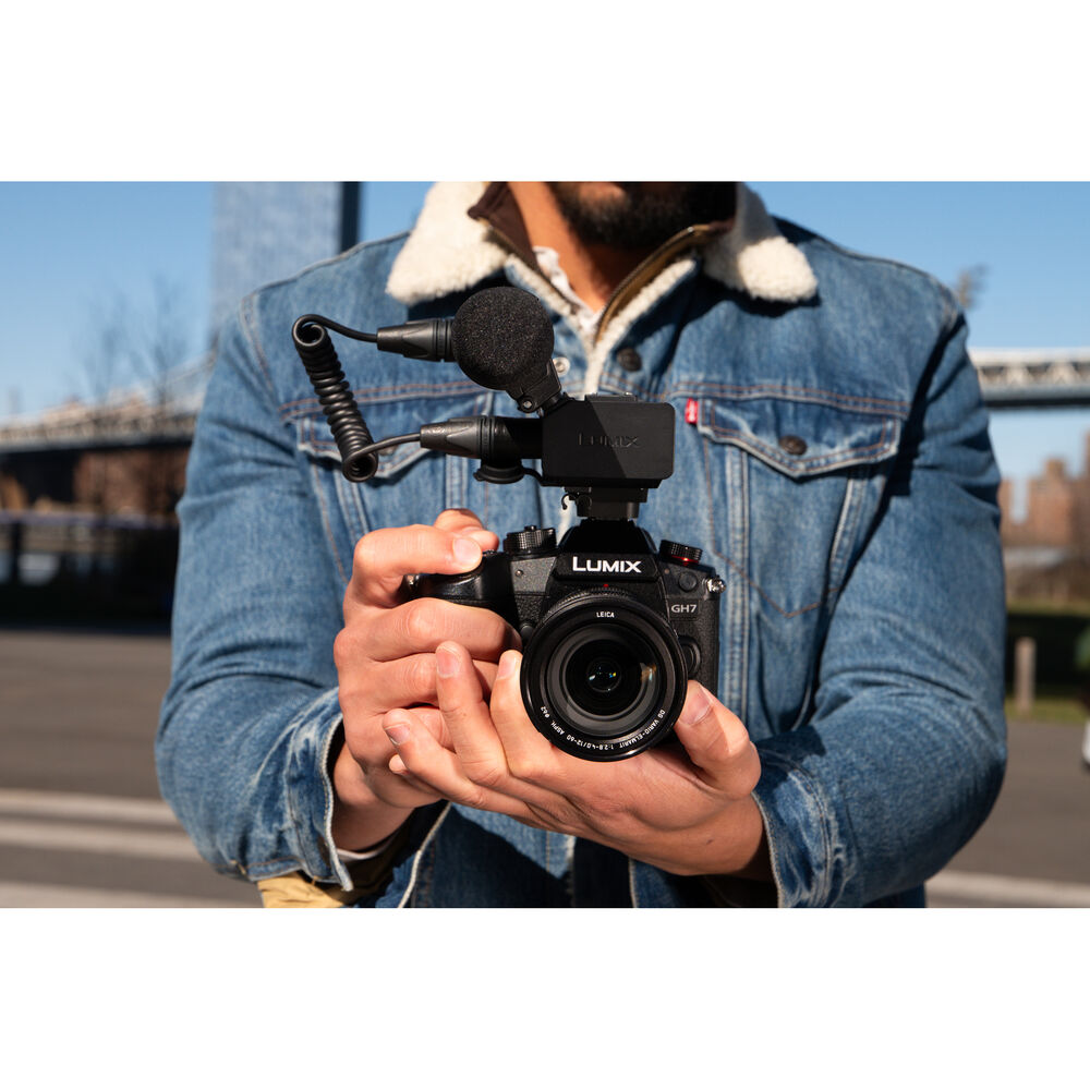 Panasonic Lumix GH7 Mirrorless Camera with 12-60mm f/2.8-4 Lens - Image 9